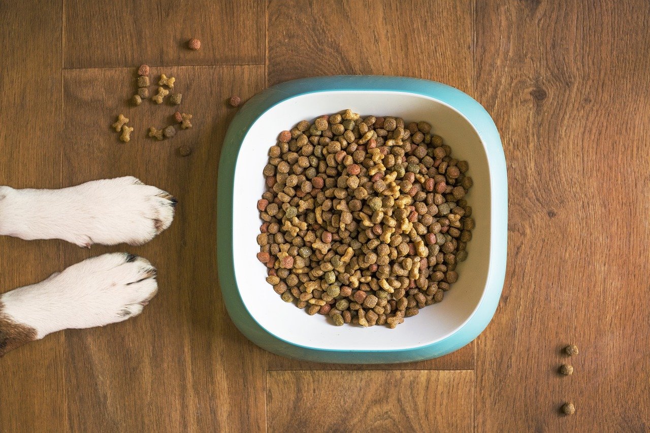 Carrageenan in pet food
